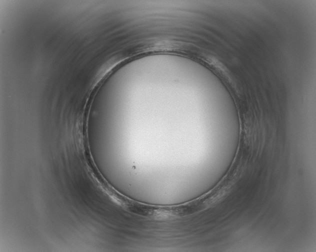 X0000054430794200508121817