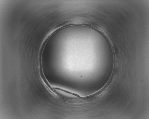 X0000054430795200508121817