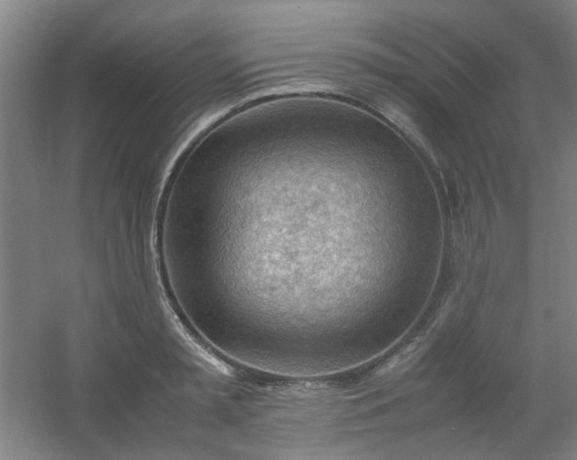 X0000054430797200508121817