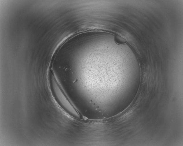 X0000054430798200508121817