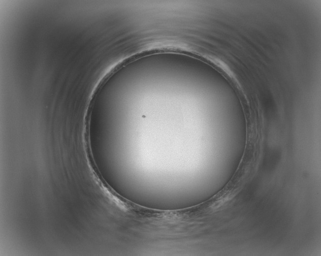 X0000054430799200508121817