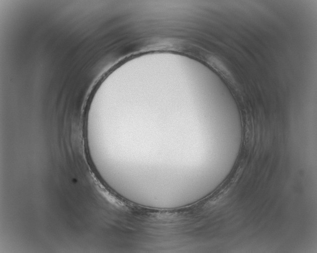 X0000054430800200508121817