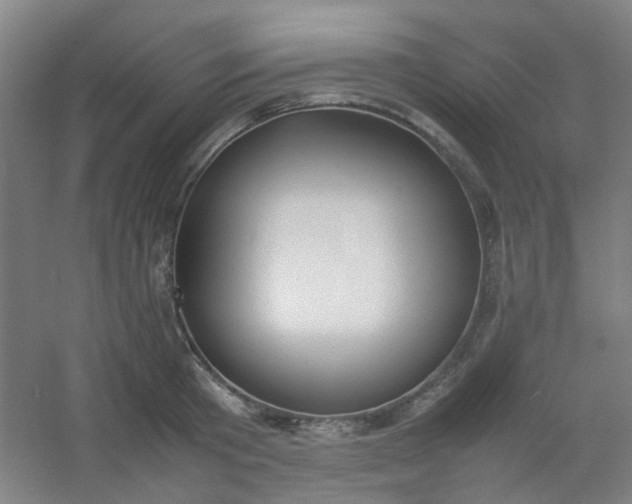 X0000054430801200508121817