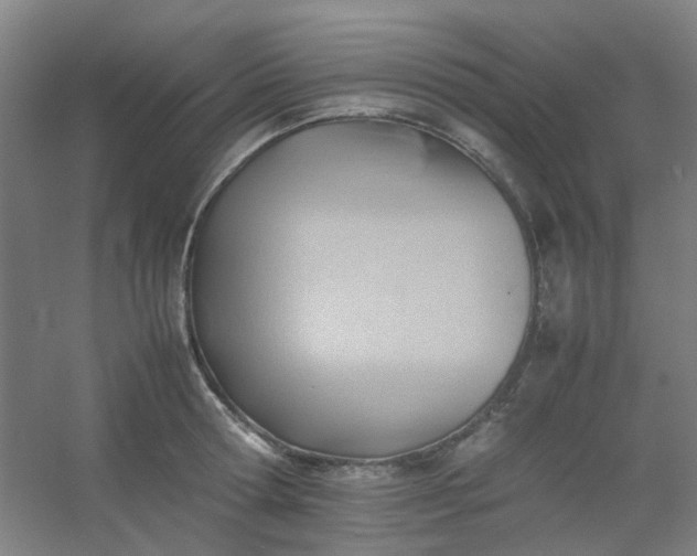 X0000054430802200508121817