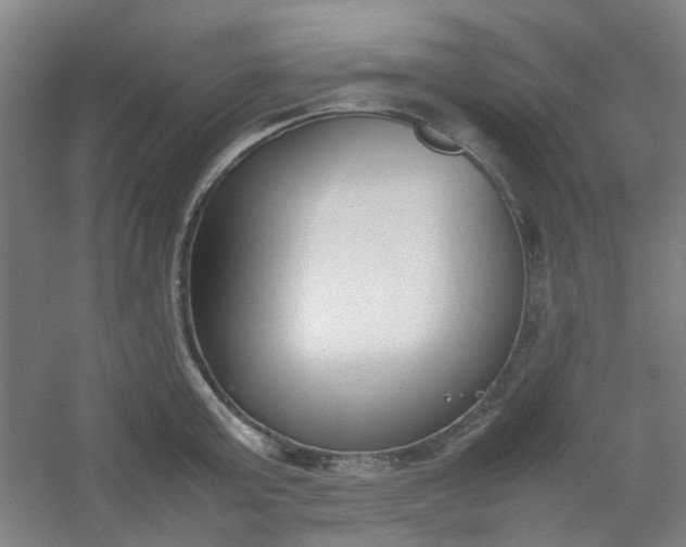 X0000054430803200508121817