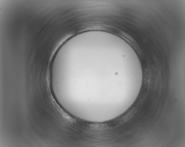 X0000054430804200508121817