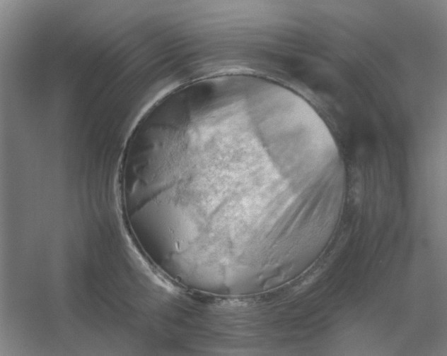 X0000054430806200508121817