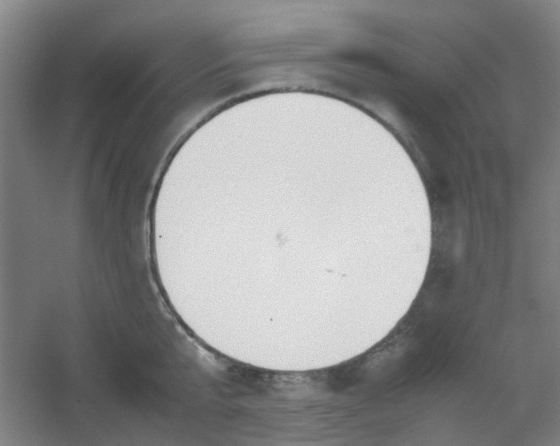 X0000054430807200508121817