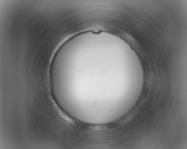 X0000054430808200508121817