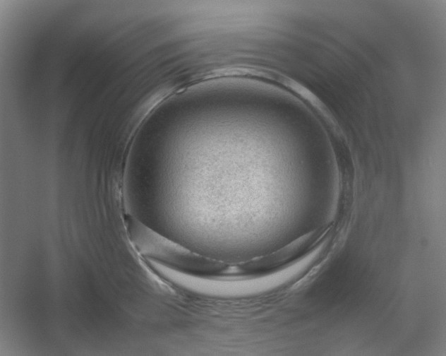 X0000054430809200508121817