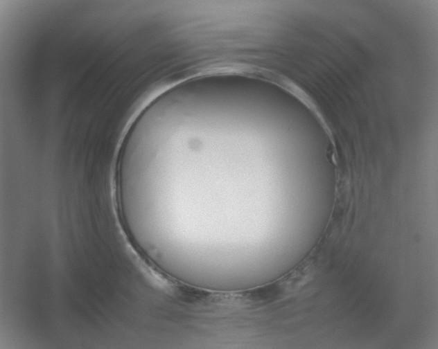 X0000054430811200508121817