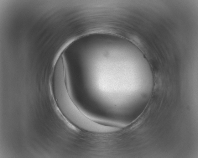 X0000054430812200508121817