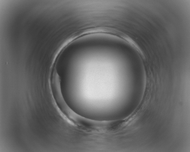 X0000054430813200508121817