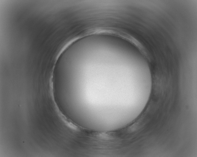 X0000054430814200508121817