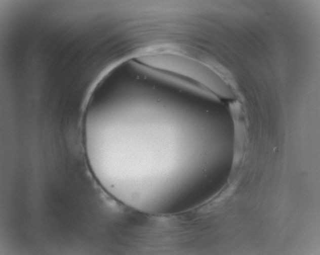 X0000054430816200508121817