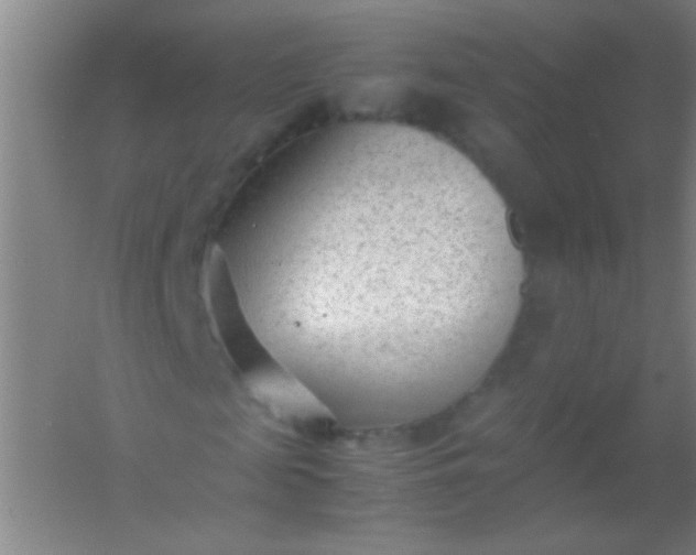 X0000054430817200508121816