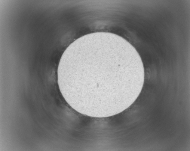 X0000054430820200508121816