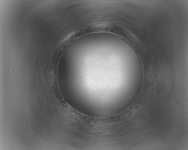 X0000054430821200508121816