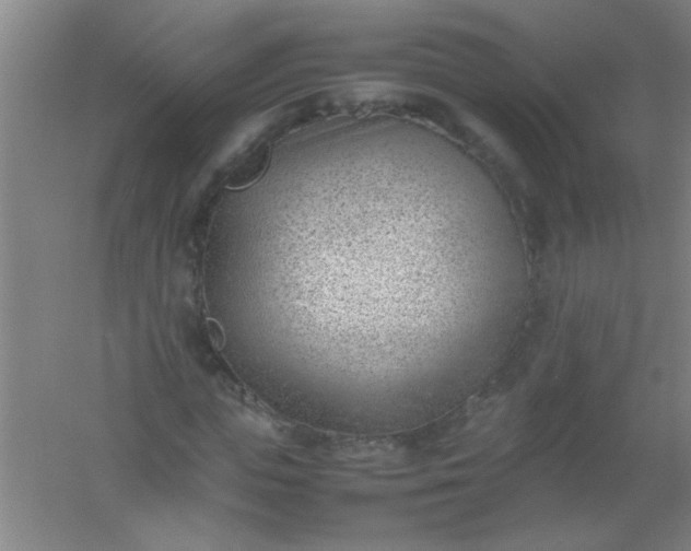 X0000054430823200508121816