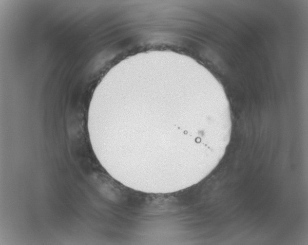 X0000054430824200508121816