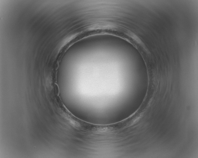 X0000054430826200508121816