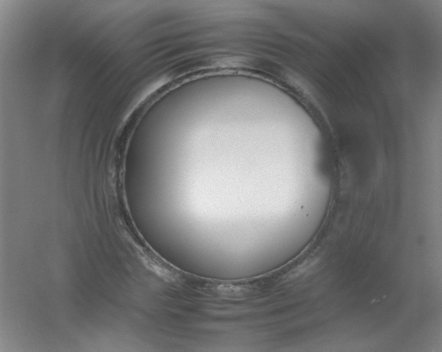 X0000054430827200508121816