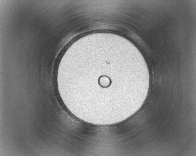 X0000054430828200508121816