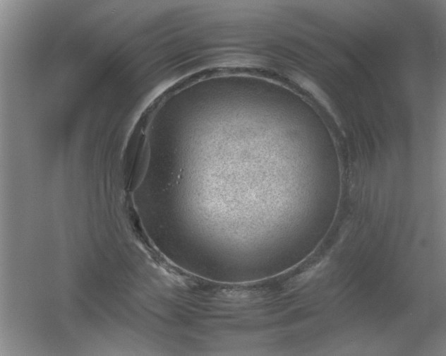 X0000054430829200508121816