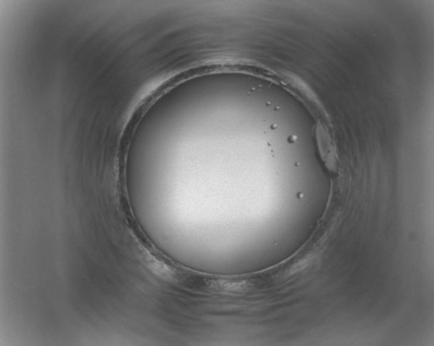 X0000054430831200508121816