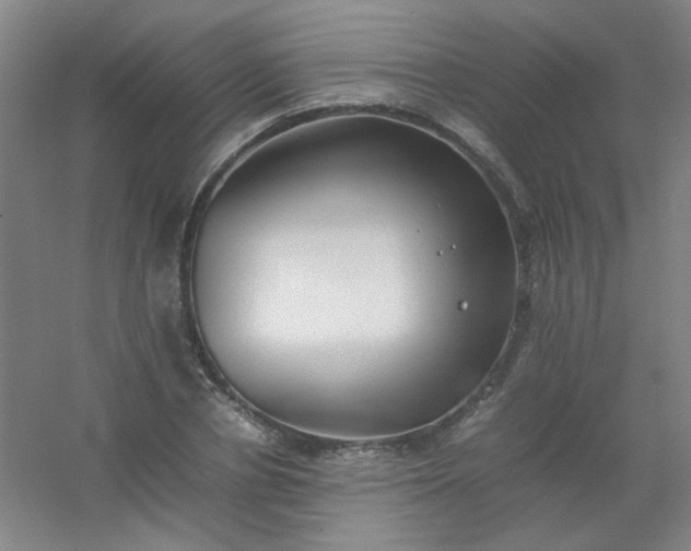 X0000054430834200508121816