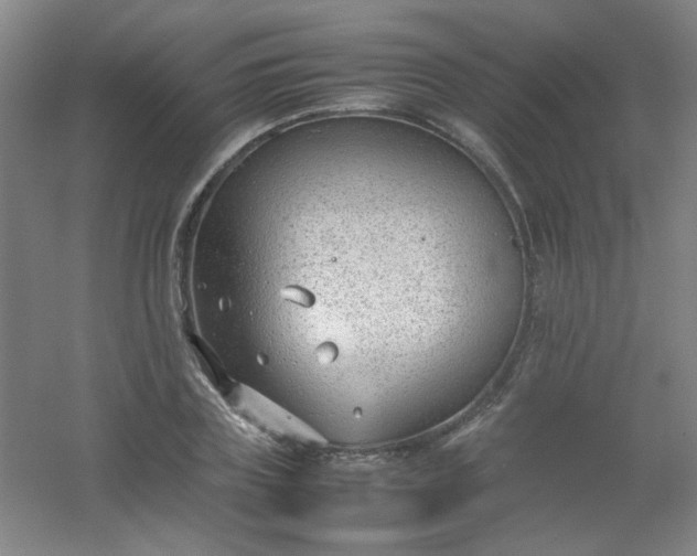 X0000054430835200508121816