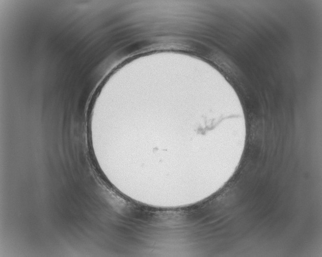 X0000054430836200508121816