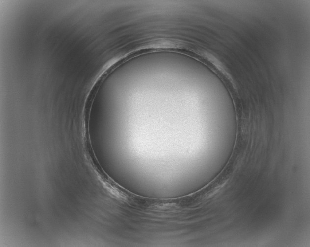 X0000054430837200508121816