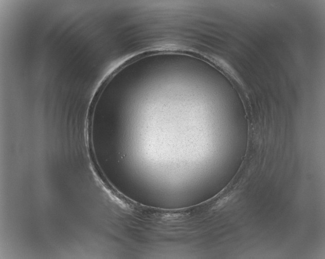 X0000054430839200508121816