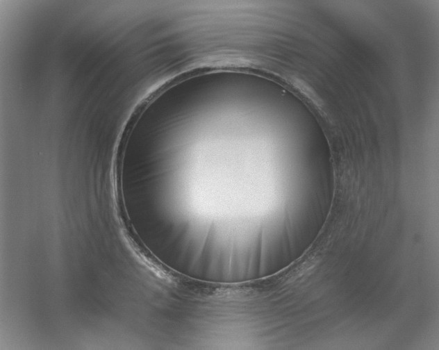 X0000054430840200508121816