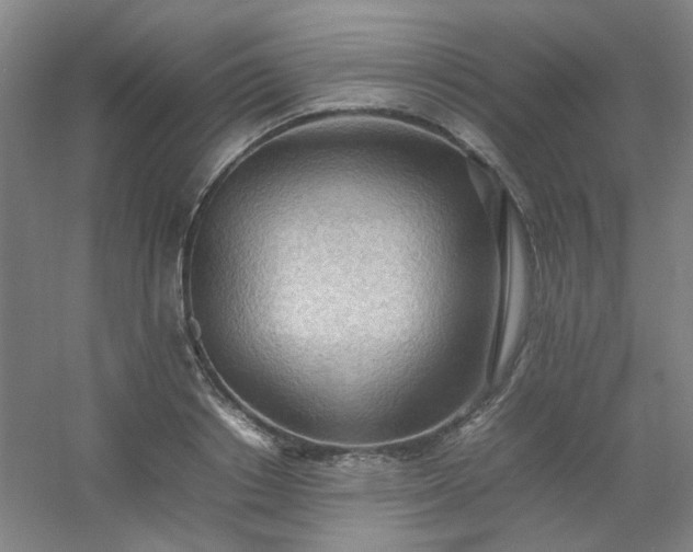 X0000054430842200508121816