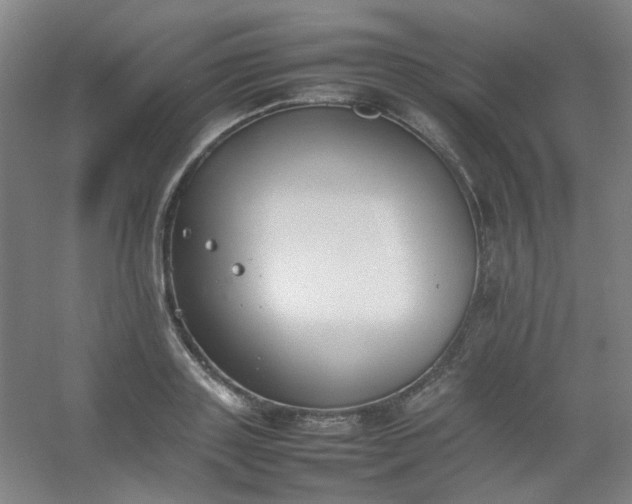 X0000054430843200508121816