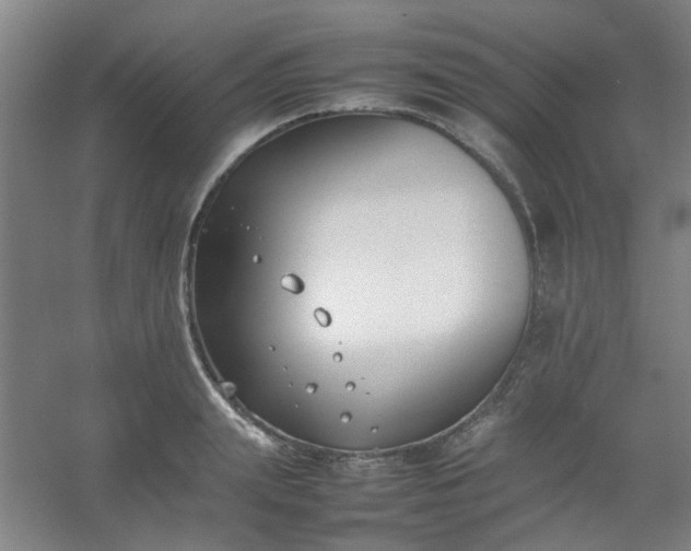 X0000054430847200508121816