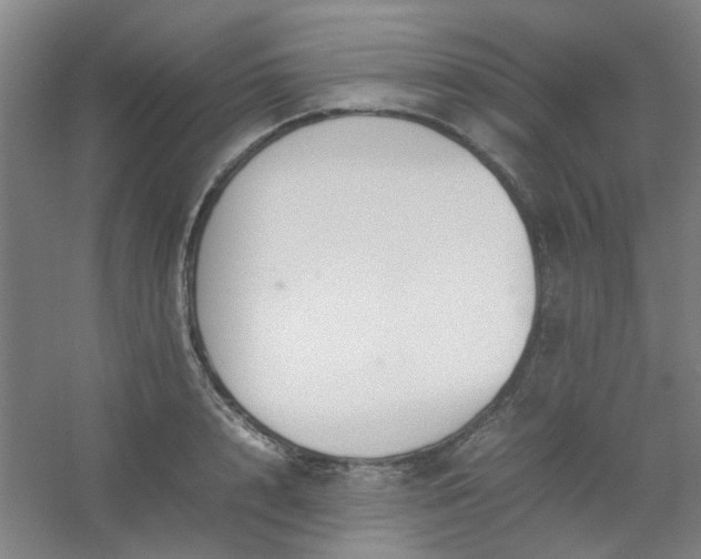 X0000054430848200508121816