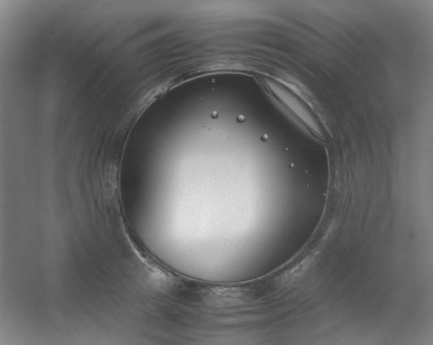 X0000054430849200508121816