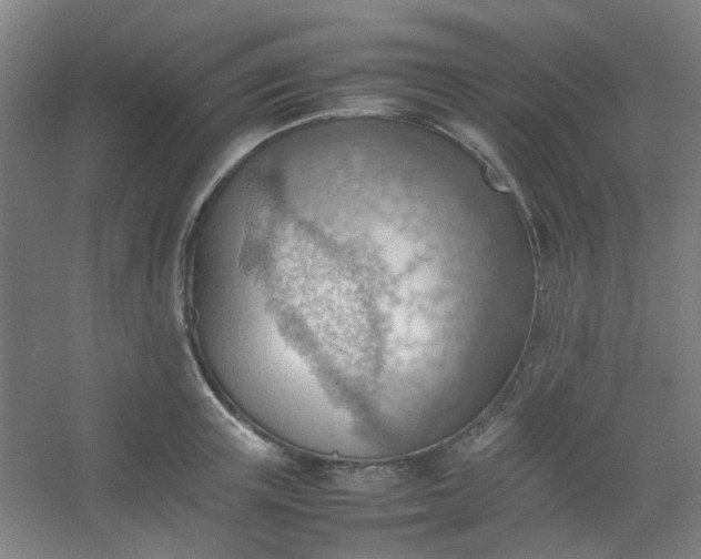 X0000054430851200508121816