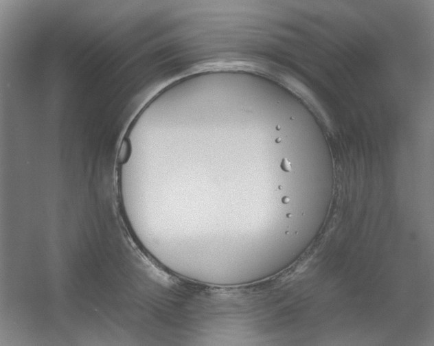 X0000054430852200508121816