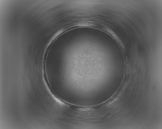 X0000054430853200508121816