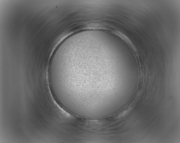 X0000054430855200508121816