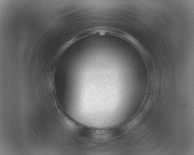 X0000054430857200508121816