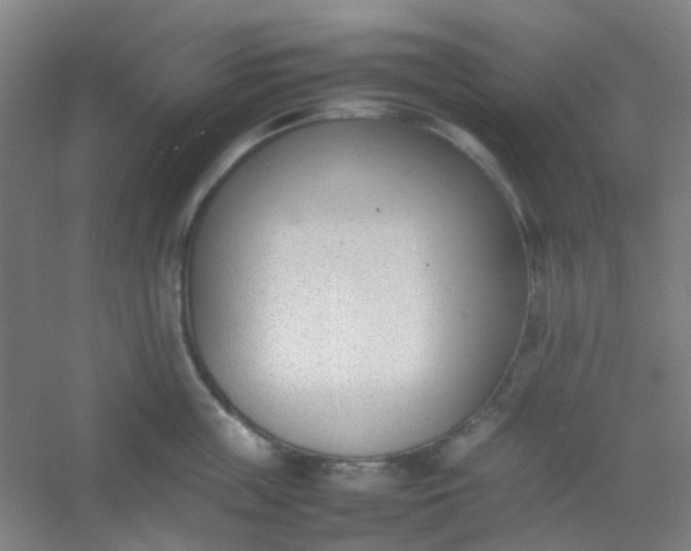 X0000054430859200508121816