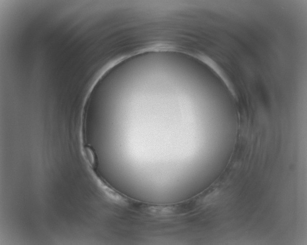 X0000054430861200508121816