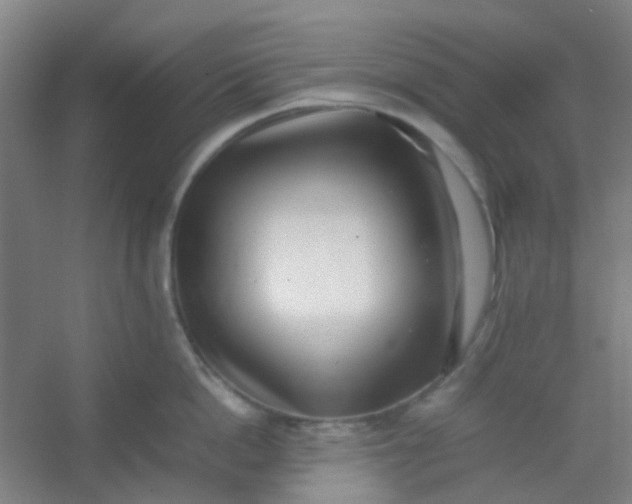 X0000054430862200508121816