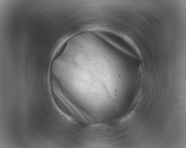 X0000054430863200508121816