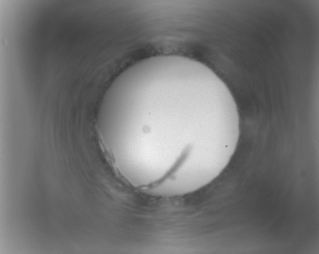 X0000054430865200508121816